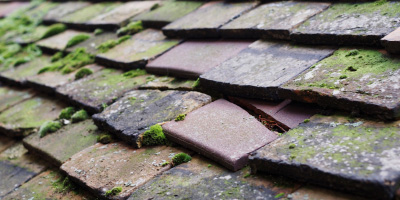 Lavendon roof repair costs